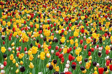 《黑帝斯2》抢先体验4号补丁上线 年底推出大型内容更新